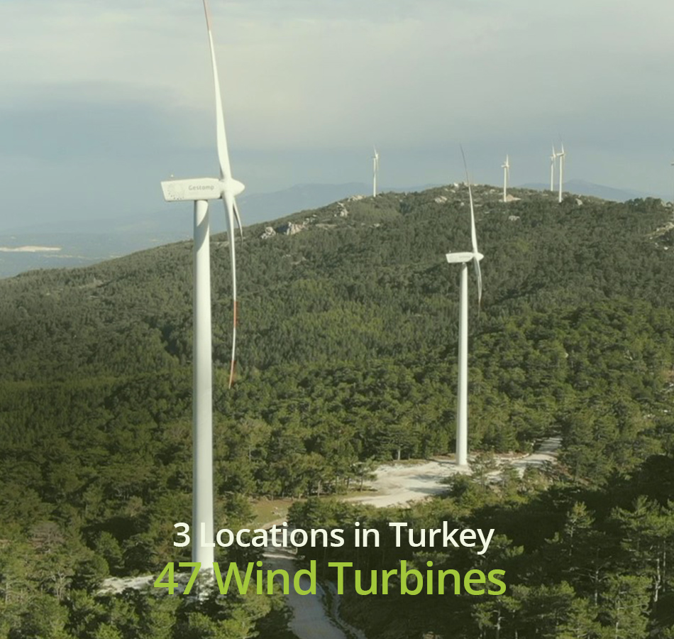 Wind Tirbuns